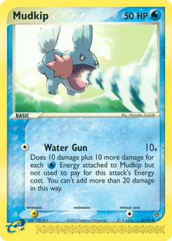 Mudkip – Common