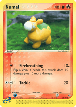 Numel – Common – Dragon