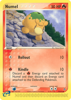 Numel – Common – Dragon
