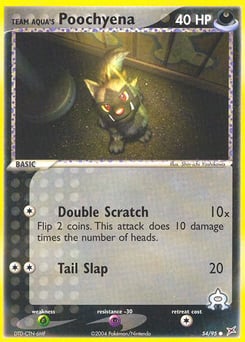 Team Aqua's Poochyena – Common – Team Magma vs Team Aqua