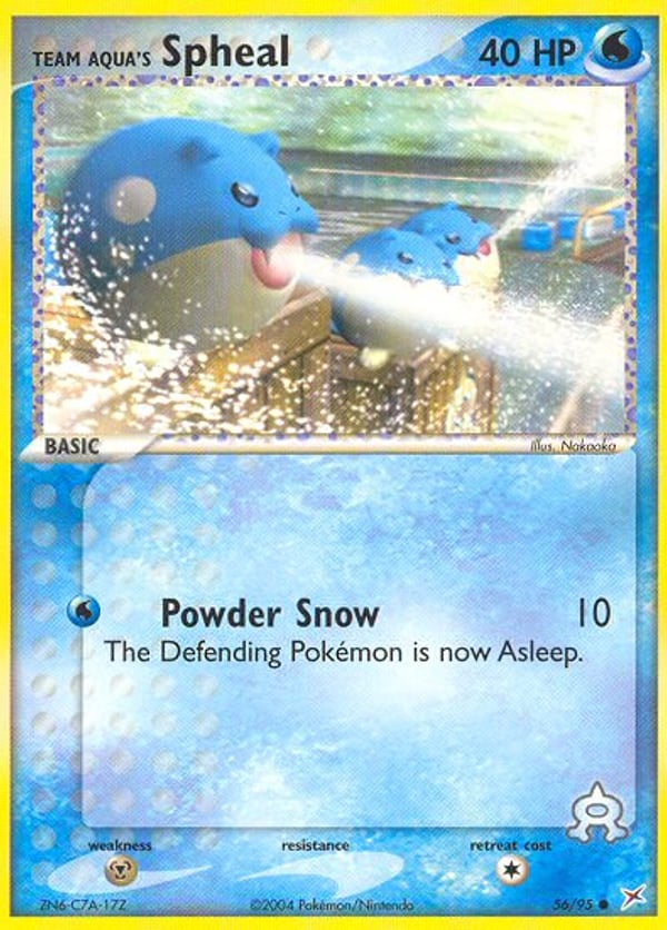 Team Aqua's Spheal – Common – Team Magma vs Team Aqua