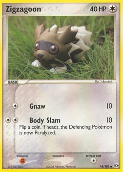 Zigzagoon – Common