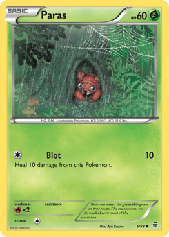 Paras – Common – Generations