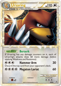 Ursaring – Rare Prime