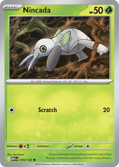 Nincada – Common – Mega Evolution