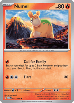 Numel – Common – Mega Evolution