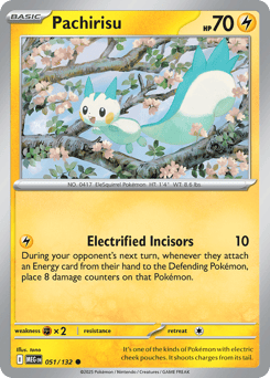 Pachirisu – Common – Mega Evolution
