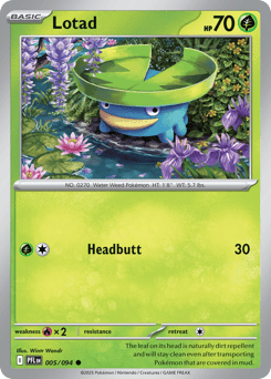 Lotad – Common