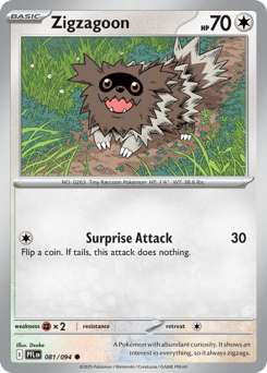 Zigzagoon – Common