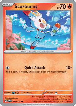 Scorbunny – Common