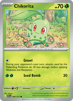 Chikorita – Common