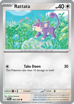 Rattata – Common