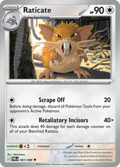 Raticate – Uncommon