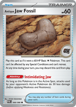 Antique Jaw Fossil – Common