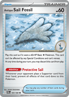 Antique Sail Fossil – Common