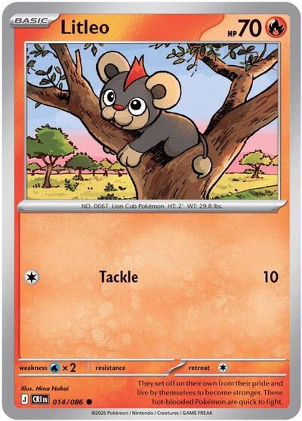 Litleo – Common
