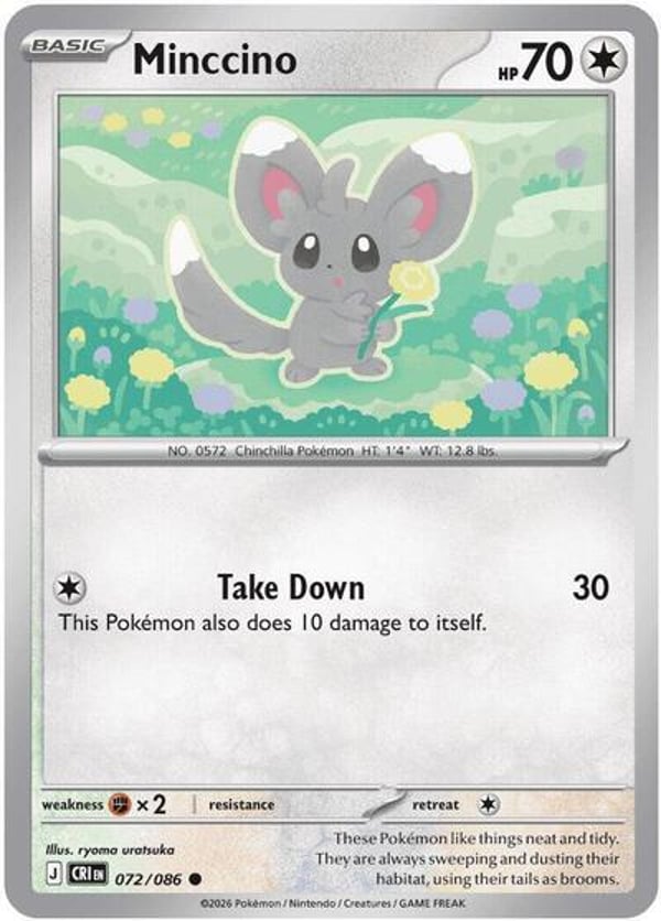 Minccino – Common