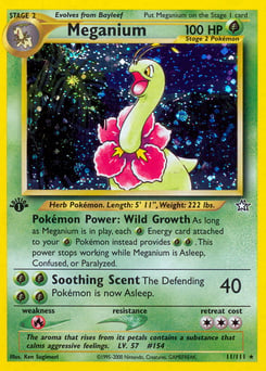 Meganium – Rare Holo