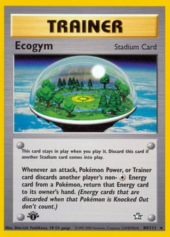 Ecogym – Rare