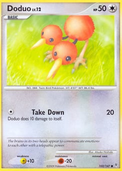 Doduo – Common