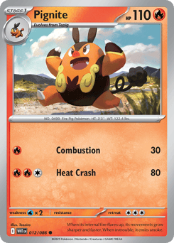 Pignite – Common