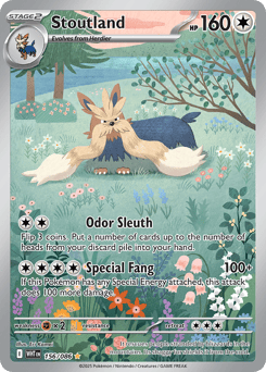 Stoutland – Illustration Rare