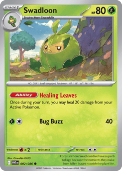 Swadloon – Common