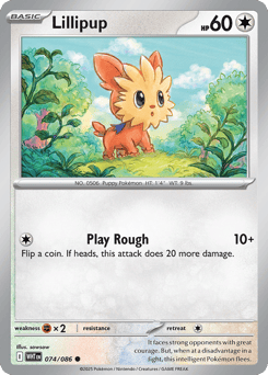 Lillipup – Common
