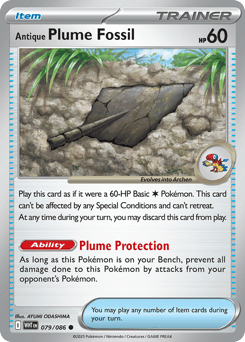 Antique Plume Fossil – Common