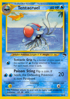 Tentacruel – Southern Islands