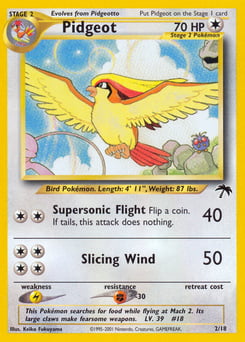 Pidgeot – Southern Islands