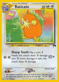 Raticate – Southern Islands