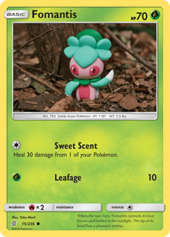 Fomantis – Common