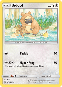 Bidoof – Common