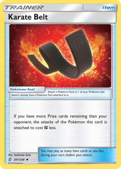 Karate Belt – Uncommon