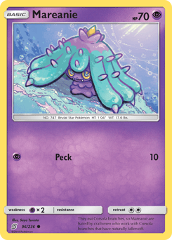 Mareanie – Common
