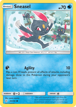 Sneasel – Common