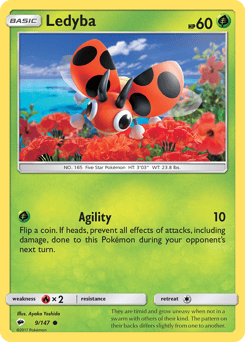 Ledyba – Common