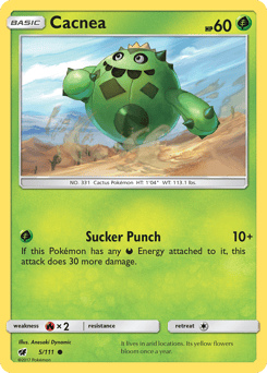 Cacnea – Common