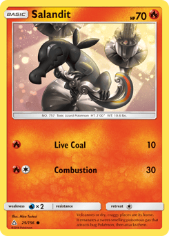 Salandit – Common