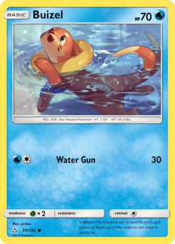 Buizel – Common