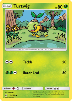 Turtwig – Common