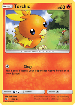Torchic – Common