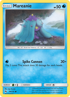 Mareanie – Common