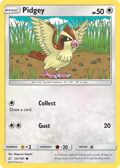 Pidgey – Common