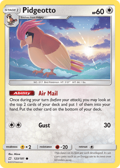 Pidgeotto – Common
