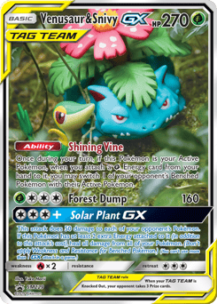 Venusaur & Snivy-GX – Promo – SM Black Star Promos