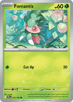 Fomantis – Common