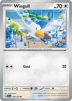 Wingull – Common