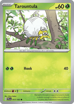 Tarountula – Common
